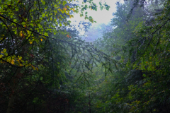 DSCF5612-2