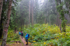 DSCF5617-2