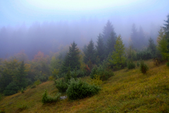 DSCF5643-2