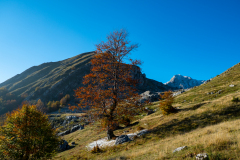 DSCF5668