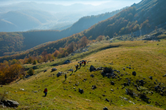 DSCF5676