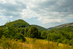 DSCF5306