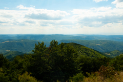 DSCF5341