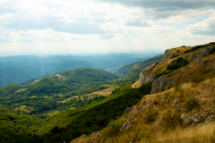 DSCF5353