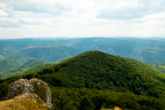 DSCF5355
