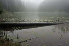 240958500_6271753499563089_7837825115335496021_n