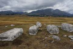 241214580_6271754056229700_4635221959757498869_n