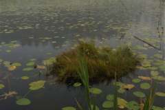 241247008_6271753596229746_559885843685568842_n