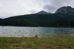 241321769_6271754272896345_7837860432621960579_n