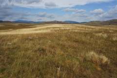 241381466_6271754029563036_6540745240423210982_n