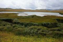 241426881_6271754592896313_8650926923642420049_n