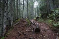 241462249_6271754362896336_1319804227345589919_n