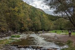 PXL_20221022_085740879