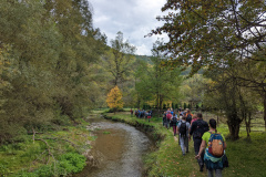 PXL_20221022_093634629