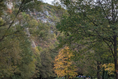 PXL_20221022_093809856