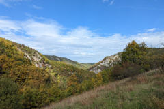 PXL_20221022_104728243