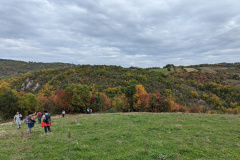 PXL_20221022_113531576