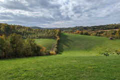 PXL_20221022_115924707