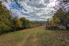 PXL_20221022_121743662