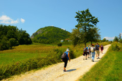 Kanjon Panjice 23.07.2019