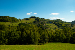DSCF5447