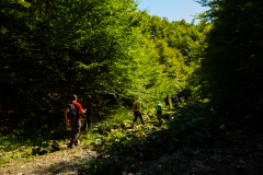 DSCF5470