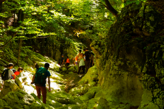 DSCF5482
