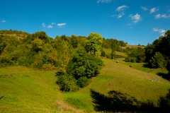 DSCF5498