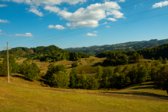 DSCF5501