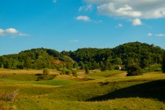 DSCF5507