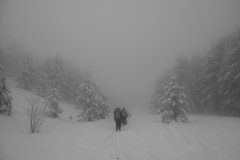 DSCF6213