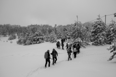 DSCF6234