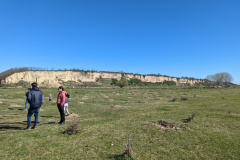 PXL_20230326_082637639