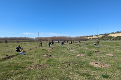 PXL_20230326_084931687