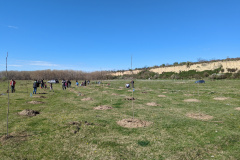 PXL_20230326_084935307