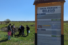 PXL_20230326_095046755