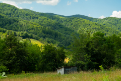 DSCF5039
