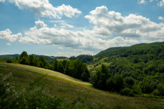 DSCF5040
