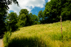 DSCF5041