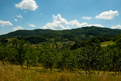 DSCF5066