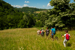 DSCF5072