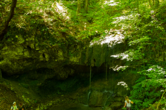 DSCF5105