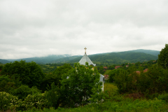 DSCF6656