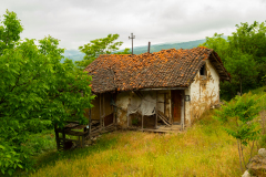 DSCF6657