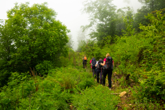 DSCF6685