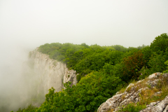 DSCF6701