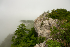 DSCF6705