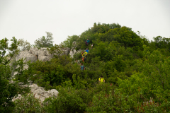 DSCF6708